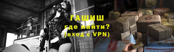 прущие грибы Абаза