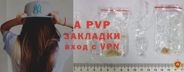 прущие грибы Абаза