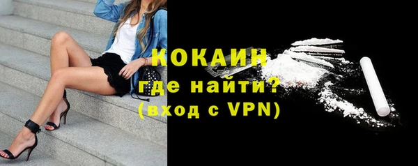 прущие грибы Абаза