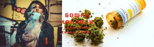 прущие грибы Абаза