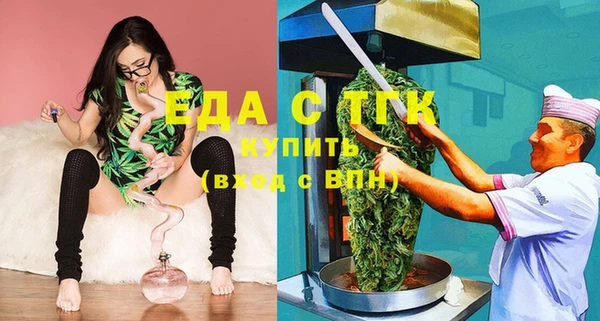 индика Абинск