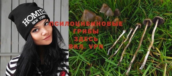 бошки Алзамай