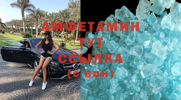 прущие грибы Абаза