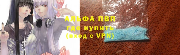 индика Абинск