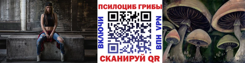 купить закладку  Донецк  Псилоцибиновые грибы мухоморы 